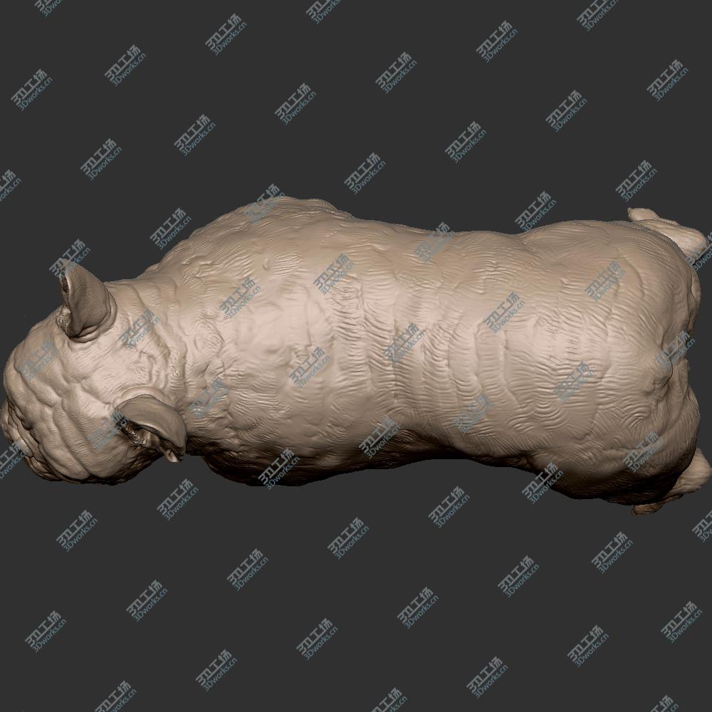 images/goods_img/20200601/231 狼 狗 犬 斗牛犬 恶霸犬 STL 手办 3D扫描 3D打印 雕像 高模 雕塑 zbrush/2.jpg